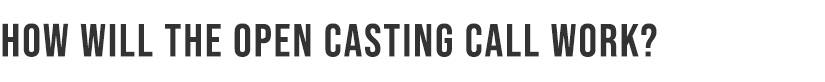 How will the open casting call work?